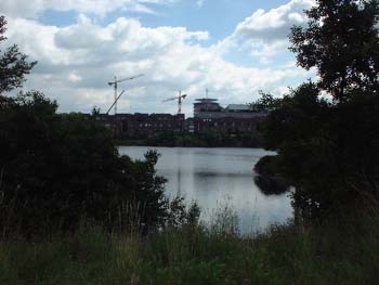 bugasee