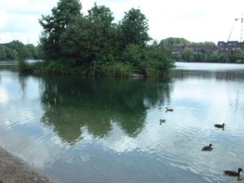 enten