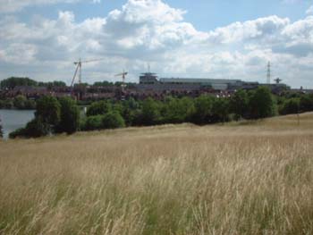 feld11