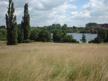 feld2