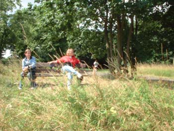 feld8