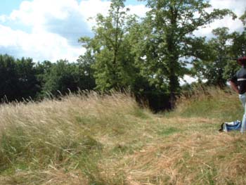 feld9