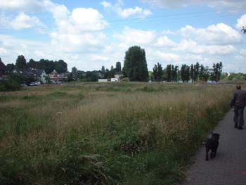 hund