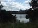bugasee