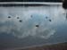 enten2