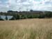 feld