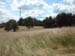 feld10