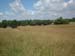 feld5