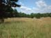 feld6