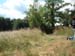 feld9