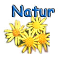 Plätze in der Natur