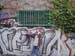 DSCN0017